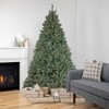 Northlight Pre-Lit Full Spruce Artificial Christmas Tree - 7.5' - Candlelight Clear LED Lights - 2 of 4