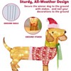 Joyfy 30'' Wiener Dog Christmas Outdoor Decorations, Wiener Dog Yard Light Decoration with 40 Warm White LED for Christmas Yard Porch Garde Decoration - 3 of 4