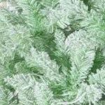 white green