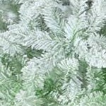 white green 7.5ft