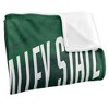 Mississippi Valley State University Fan Zone Silky Touch Super Soft Throw Blanket 50x60 - 3 of 4
