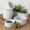Sullivans Set of 2 Cement Planter Vase 3.5"H & 3"H White - 4 of 4