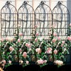 MAYEERTY 2 Pack Metal Garden Trellis 71 x 19.7 Inch Rustproof Climbing Plants Support Black Outdoor Flower - 2 of 4