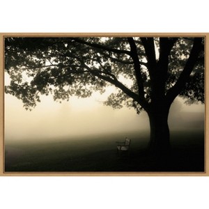 Amanti Art Shenandoah by Andy Magee Canvas Wall Art Print Framed 23 x 16-in. - 1 of 4