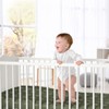 Sweet Jojo Designs Gender Neutral Baby Fitted Crib Sheet Jungle Animals Hunter Green and White - 2 of 4