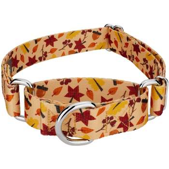 Country Brook Petz® Deluxe Fall Foliage Dog Collar- Made In The U.s.a.,  Medium : Target