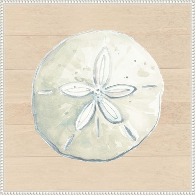 Amanti Art Sand Dollar On Wood Background by Patricia Pinto Canvas Wall Art Print Framed 22 x 22-in.