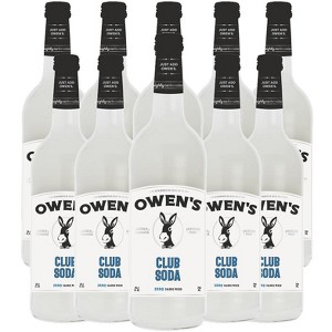 Owen’s Craft Mixers | Handcrafted in the USA with Premium Ingredients | Vegan & Gluten-Free Soda Mocktail and Cocktail Mixer - 1 of 2