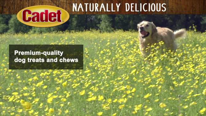 Cadet Choice Chews Peanut Butter Rolls Dog Treats - 10ct, 2 of 6, play video