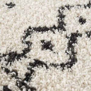 Hauteloom Hauppauge Berber Shag Carpet - 1 of 4