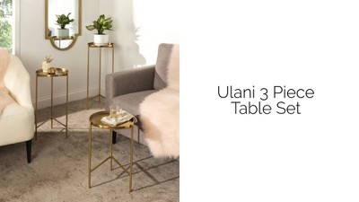Ulani Round Gold Metal Nesting Accent Table Set