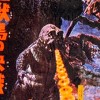 Surreal Entertainment Godzilla: Son of Godzilla Fleece Throw Blanket | 45 x 60 Inches - 2 of 4