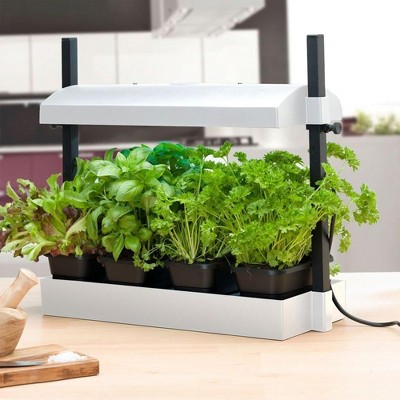 SunBlaster White Micro Grow Light Garden with LED