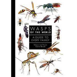 Wasps of the World - (Guide to Every Family) by  Simon Van Noort & Gavin Broad (Hardcover) - 1 of 1