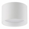 Access Lighting Reel 1 - Light Flush Mount in  White - 3 of 4