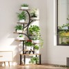 SEVOBAL Planter Stands and Holders S Shaped Indoor Stable Structure DIY Plant Holder Multi Flower Stands for Home, Brown, 33.86"*5.12"*68.5" - 3 of 4
