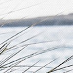 farmhouse gray