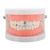 Unique Bargains Hip Hop Rhinestone Fake Grills 1 Pc - 2 of 4