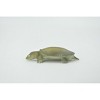 Collectible Wildlife Gifts | Turtle, Softshell Turtle, Chinese, Museum Quality, Hand Painted, Rubber Reptile,  Toy Model, Gift,   2"  CH594 BB164 - 4 of 4