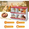Chicken Nesting Box, Easy Egg Collection Large Vented Holes Chicken Coop Equipment with Vented Holes, Heavy Duty Chicken Nesting Boxes for Hens,Ducks - 4 of 4