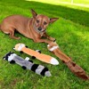 Alilang Dog Squeaky Plush Toy Set of 3 Raccoons Unstuffed Interactive Dog Toys for Small to Medium Dogs, 3 Pack - 3 of 4