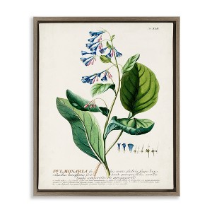 Stupell Industries Botanical Blue Flowers Vintage Design Floating Frame Canvas Art - 1 of 4