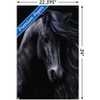 Trends International Laurie Prindle - The Black Unframed Wall Poster Prints - 3 of 4