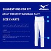 Mizuno Adult Prospect Baseball Pant - 3 of 3