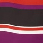 multicolored-striperevltn