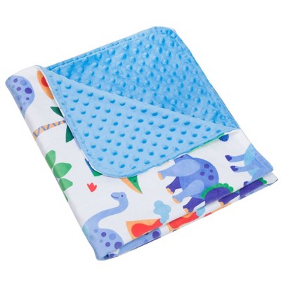 Dinosaur Land Plush Blanket - WildKin