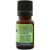 Plantlife Tarragon Essential Oil – 100% Pure & Therapeutic Grade – Natural, Undiluted & Steam-Distilled – No Additives or Fillers – 10 ml - 2 of 2