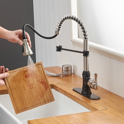 Brushed Nickel and Black Pull-Down Kitchen Faucet with Deck Plate