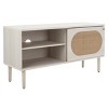 Claude 1 Door 2 Shelf Media Stand - MED9609 - Safavieh - 3 of 4