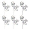 Lamb's Ear Leaf Bush (Set of 6) - 2 of 3