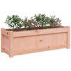 vidaXL Garden Planter Outdoor Flower Box for Climbing Plants Solid Douglas Wood - Ideal for Gardens, Patios, and Balconies - 35.4"x12.2"x12.2" - 4 of 4