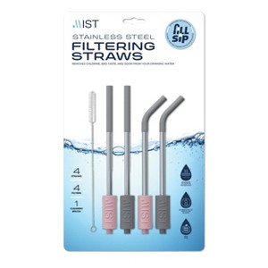 Reusable Stainless Steel Filtering Straws with Brush - 2 Grey and 2 Pink - 1 of 4