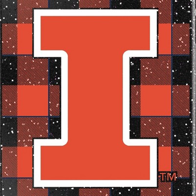 illinois fighting illini