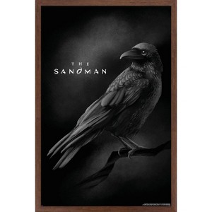 Trends International DC The Sandman (2022) - Matthew The Raven Framed Wall Poster Prints - 1 of 4