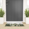 Romana Lilic / LA76 Photography Moonshine Snake Plant Welcome Mat - Society6 - 2 of 4