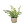 Melrose Potted Fern Plant (Set of 3) - 3 of 4
