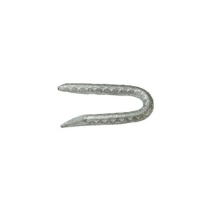 Grip-Rite 1/4 in. W X 2-1/2 in. L Galvanized Steel Fence Staples 9 Ga. 1 lb - 1 of 1