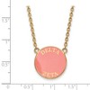Black Bow Jewelry 14k Yellow Gold Plated Sterling Silver Delta Zeta Greek Life Necklace 18 Inch - 2 of 4