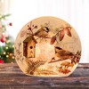 Stony Creek 6.5 Inch Winter Chickadees Pre-Lit Small Round Orb Christmas Lighted Glass Accent , Christmas Decor Winter Birds (1PC) - 2 of 4