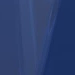 navy/gold