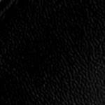black-pu