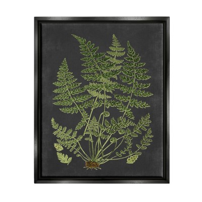 Stupell Industries Botanical Drawing Green Black Design