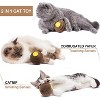 Potaroma Catnip Ball Toy for Cats Catnip Refillable Scratcher - 3 of 3