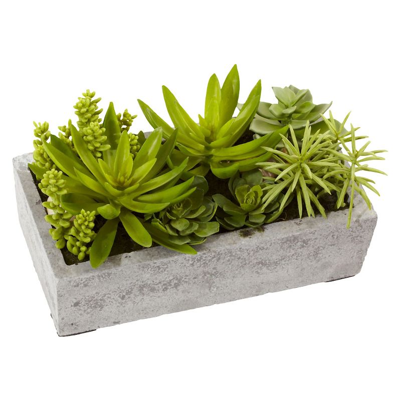 Nearly Natural Succulent Garden with Concrete Planter, 1 of 7