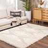 Hauteloom Igor Shag Area Rug - 2 of 4