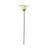 Melrose Queen Anne's Lace Stem (Set of 2) - 3 of 3